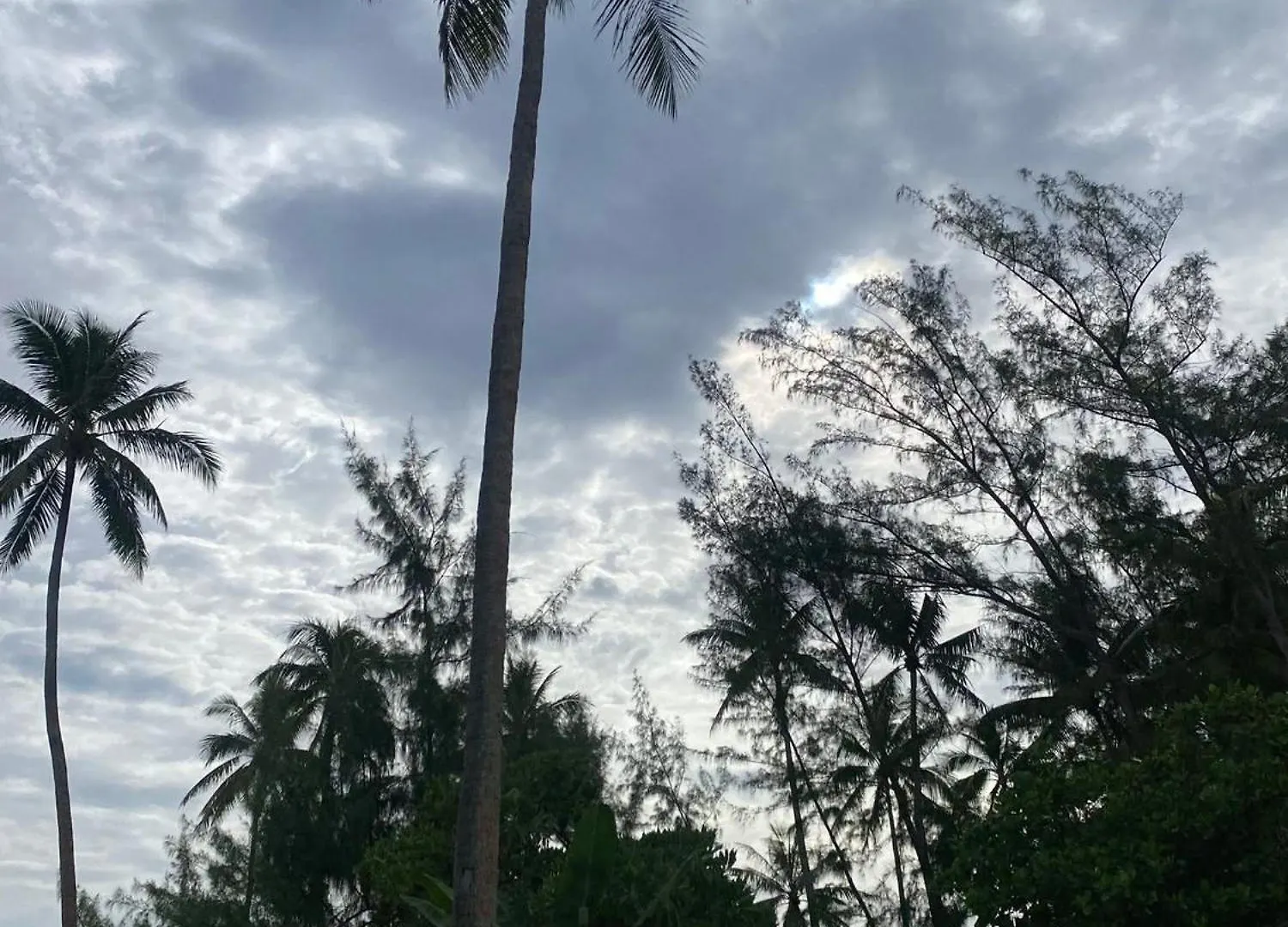 Moorea Reef Bungalows Lodge